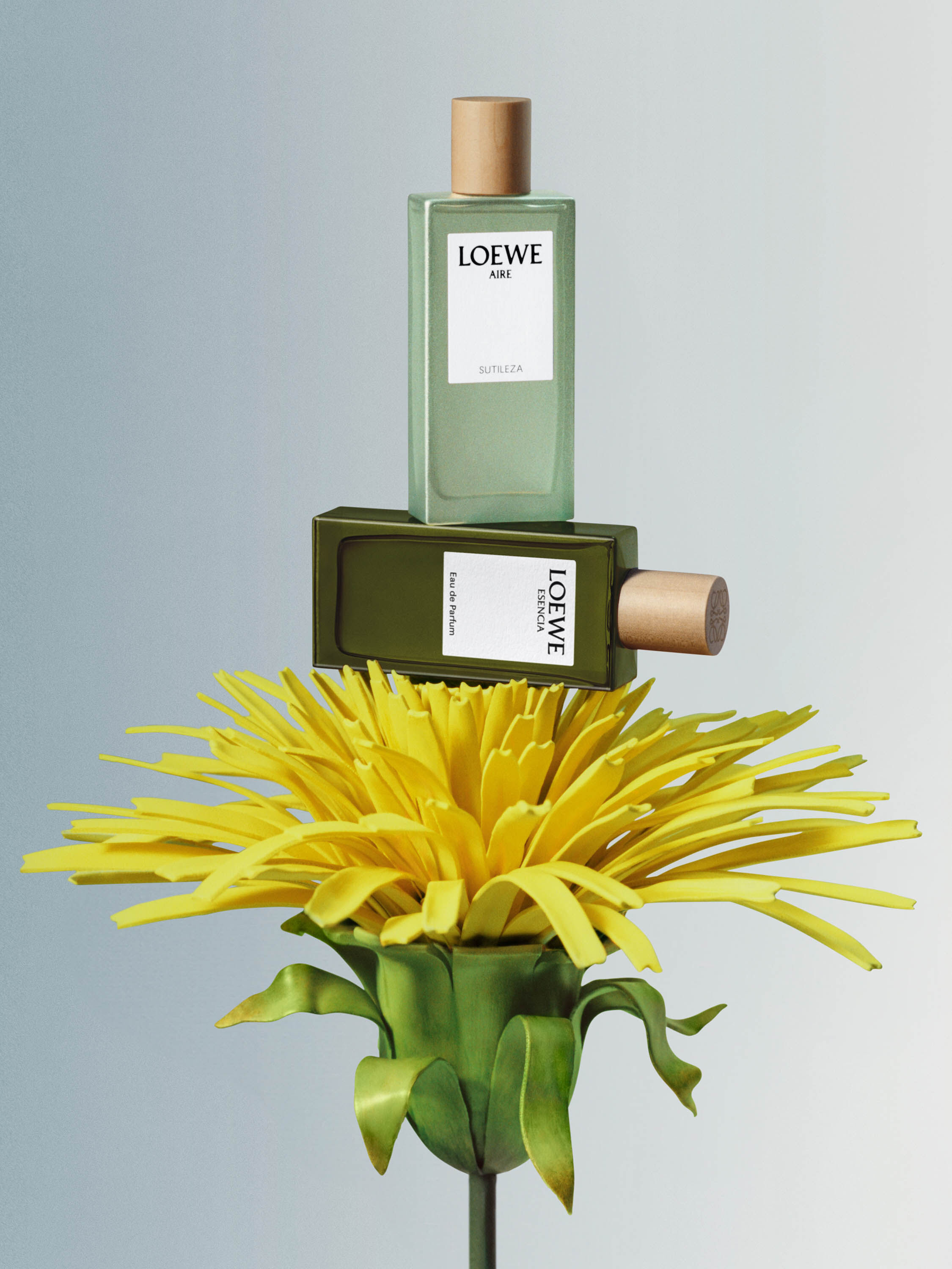 Loewe hr clearance